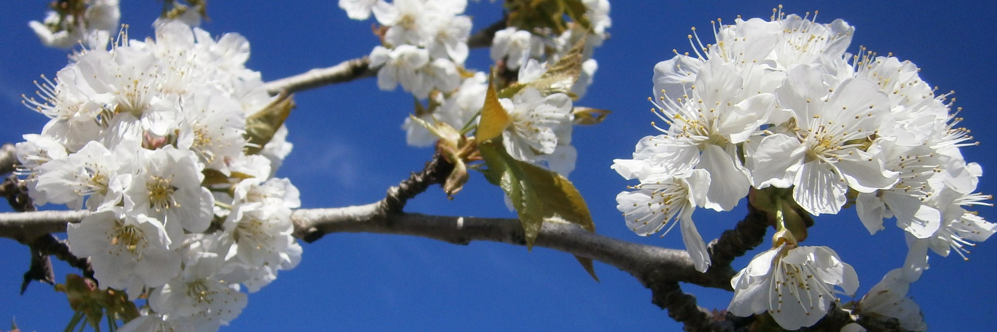 OlgaSP76's profile banner image
