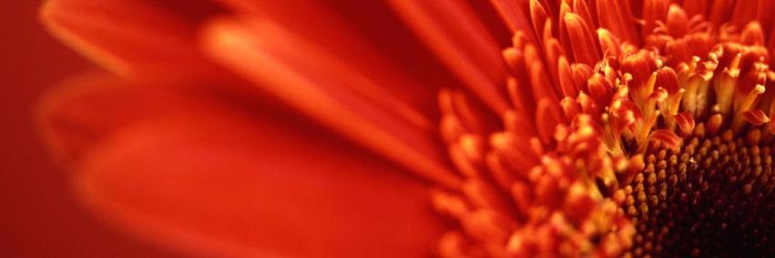 nsoakes's profile banner image