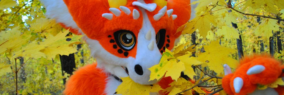 AngelDragonZeus's profile banner image