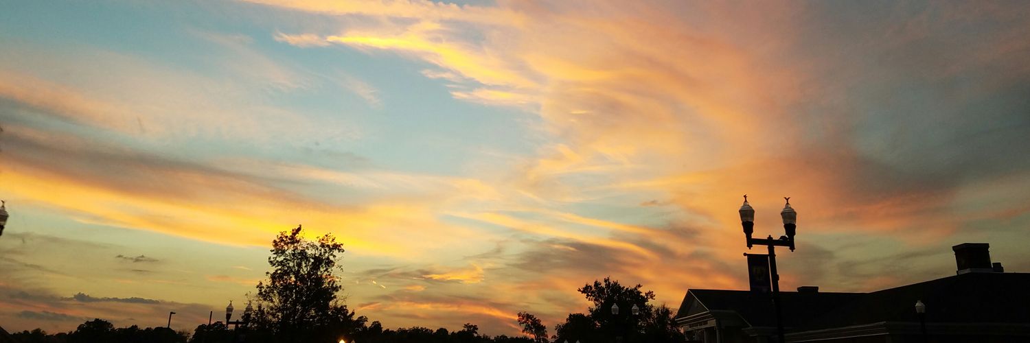 mourningglory7's profile banner image