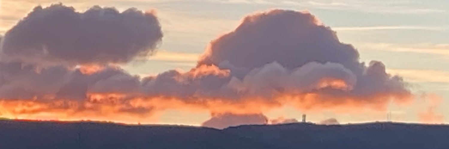 Sylvain Pignol banner