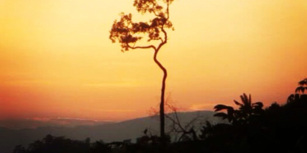 BenCurley1's profile banner image