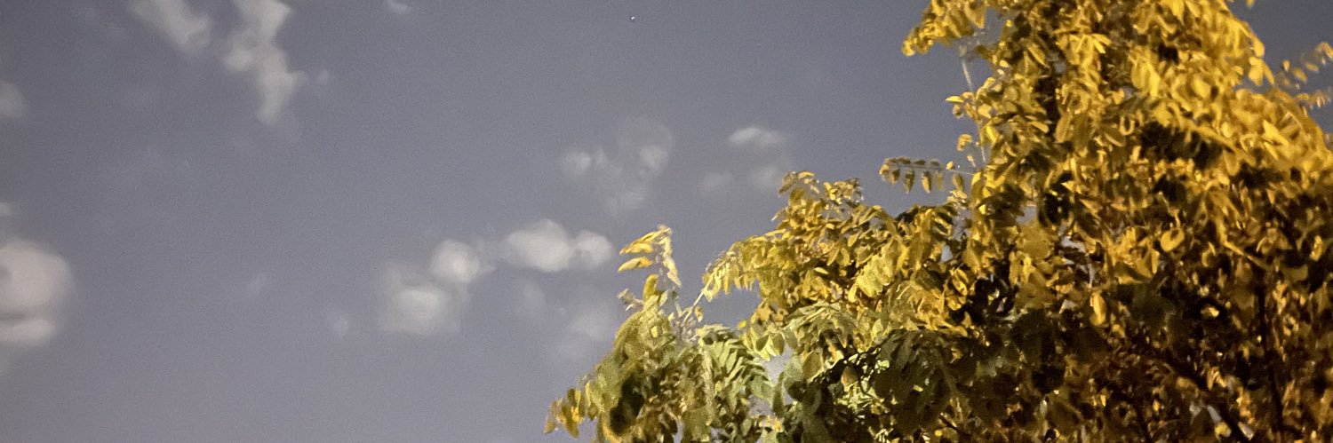 hasoumian's profile banner image