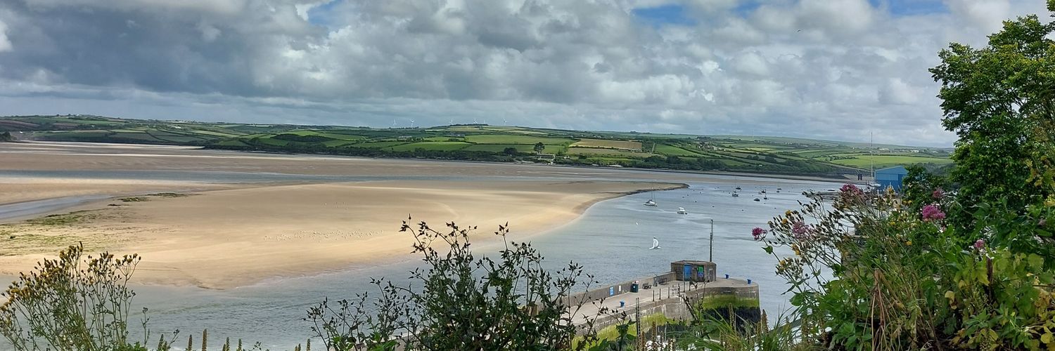 Dr Lisa Ledger Assistant Director-AHPs NIHR banner