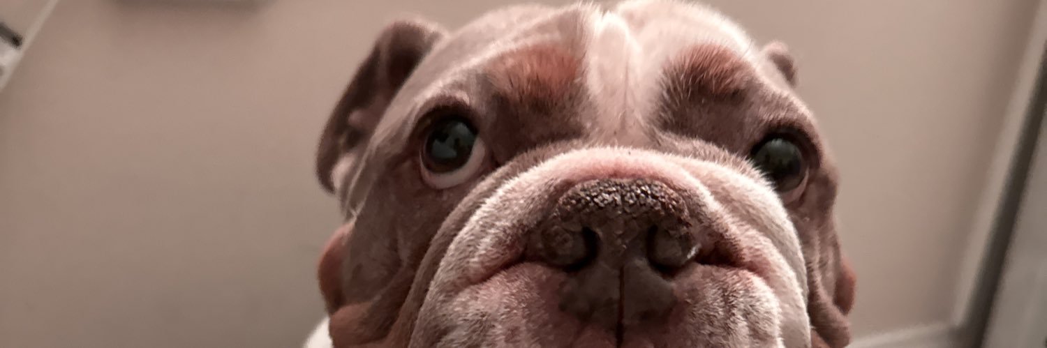 GFonzy's profile banner image