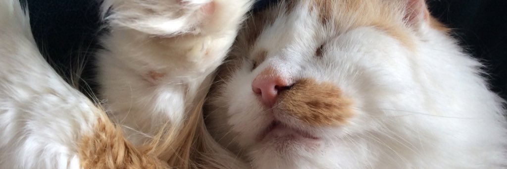 JackyBauer24's profile banner image
