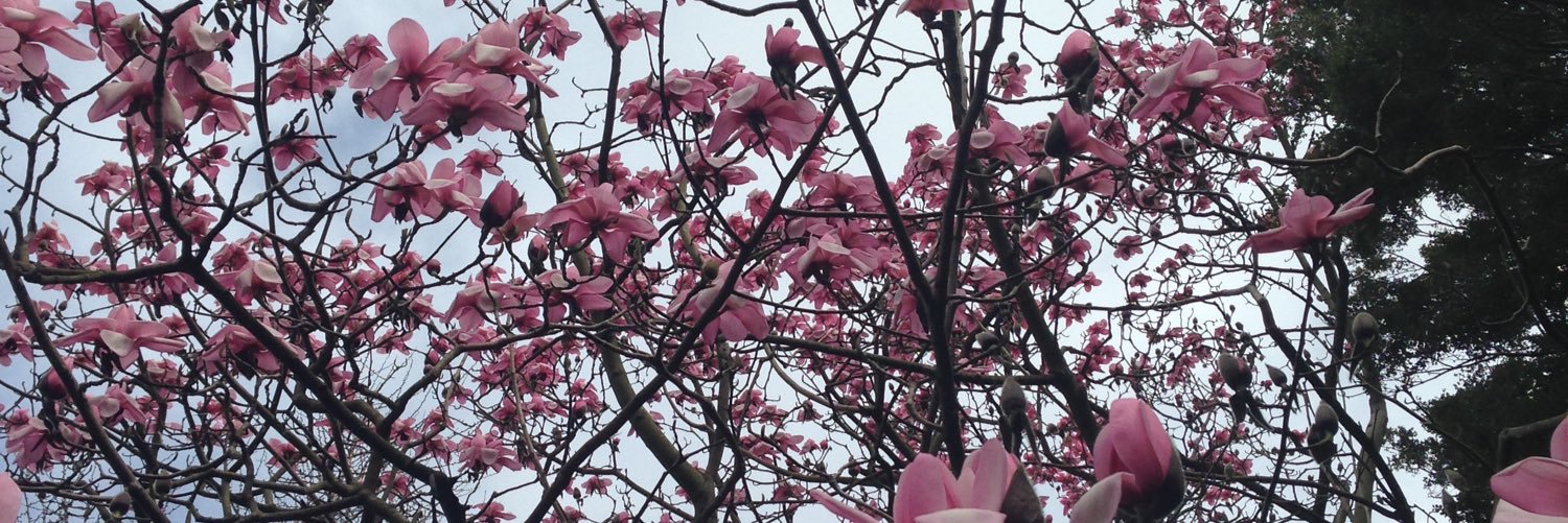 _rachmiller_'s profile banner image