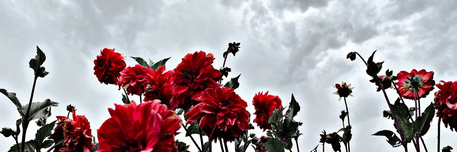 melitula2's profile banner image