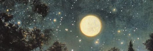 совёнок 🦉 banner