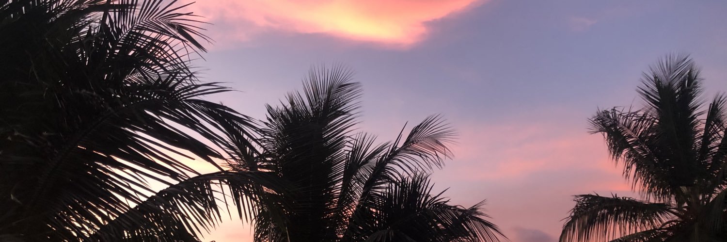 maybemona_'s profile banner image