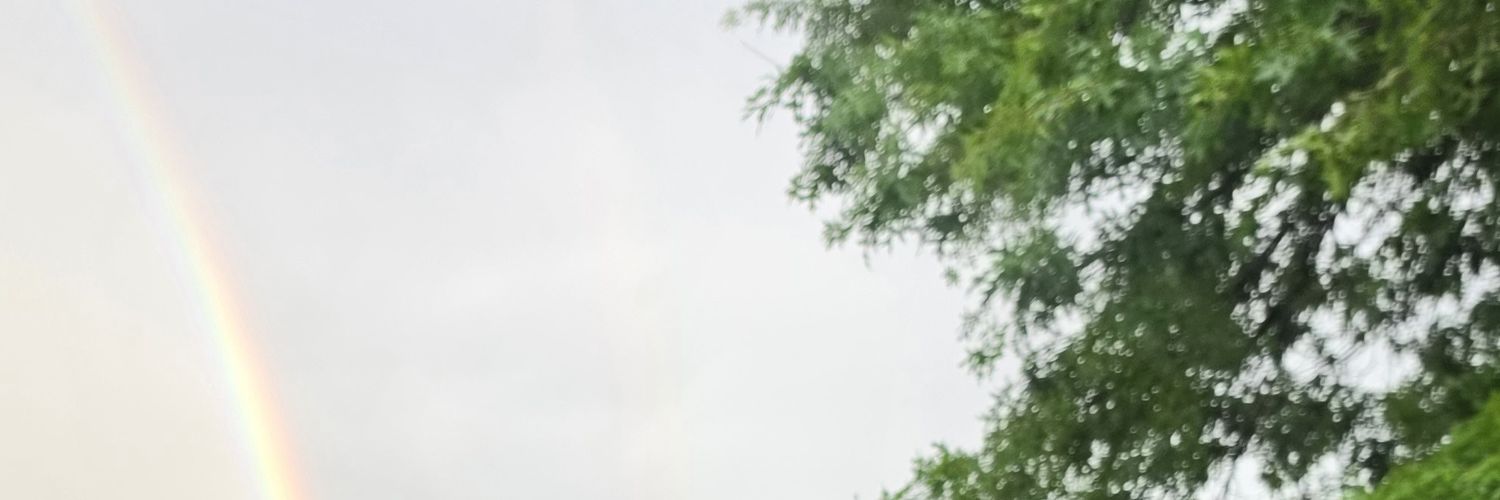 DianiBolivar's profile banner image