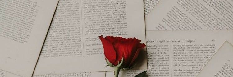 Inspiritx_'s profile banner image