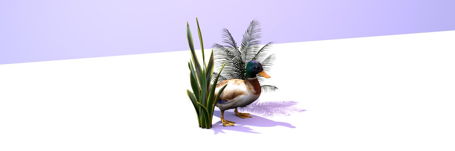 Nachtiville's profile banner image
