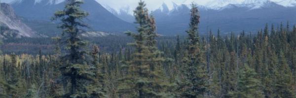 KenPledger Profile Banner