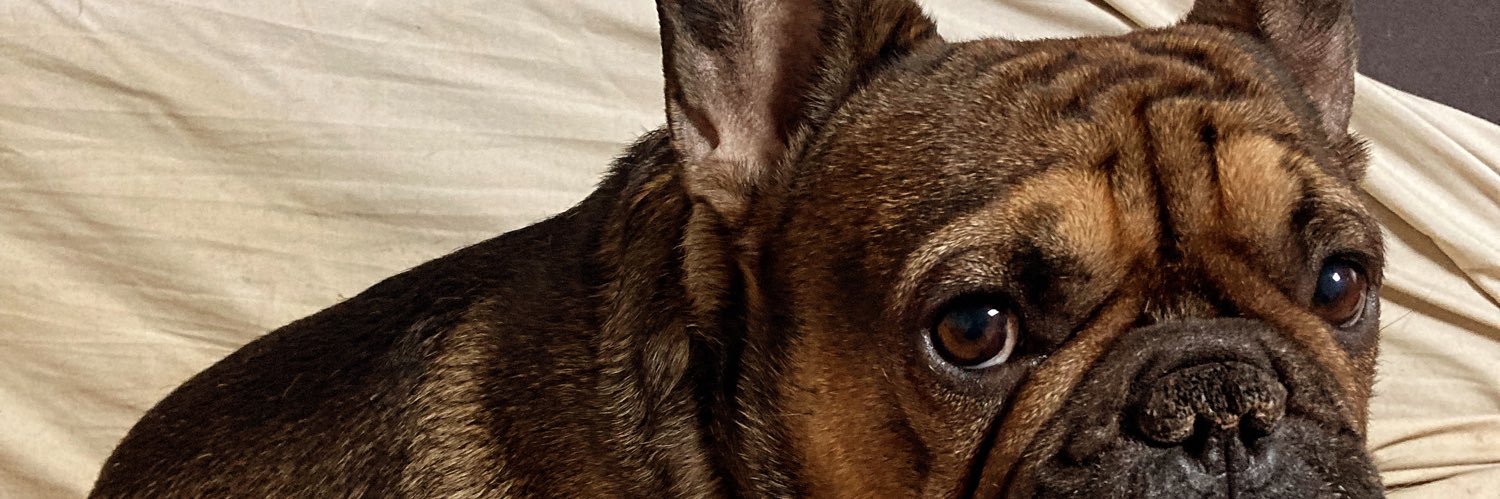 Roman Shark 🏳️‍🌈🇪🇸 banner