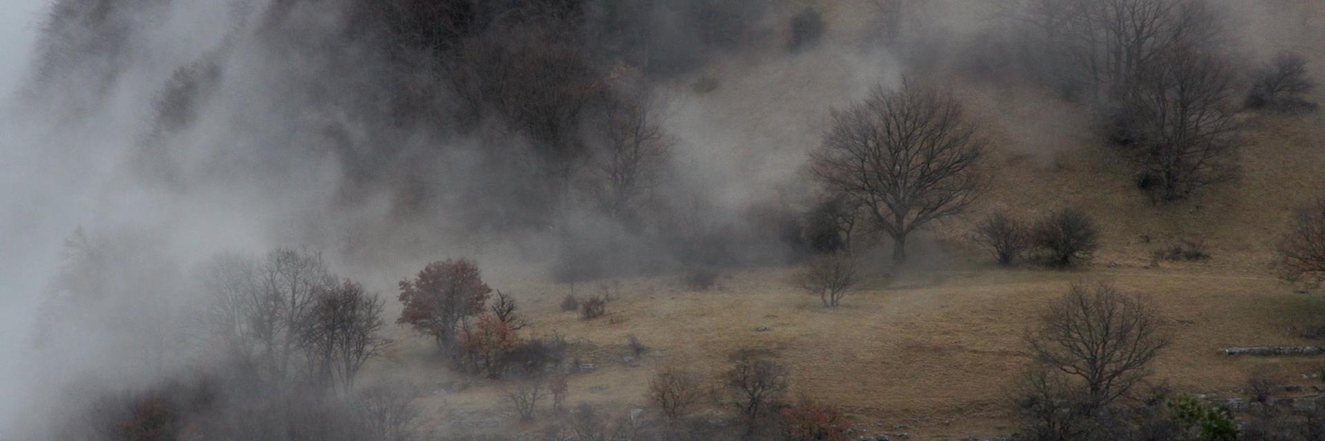 HendrikFaller's profile banner image