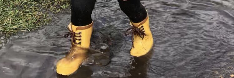 Heather Mones banner