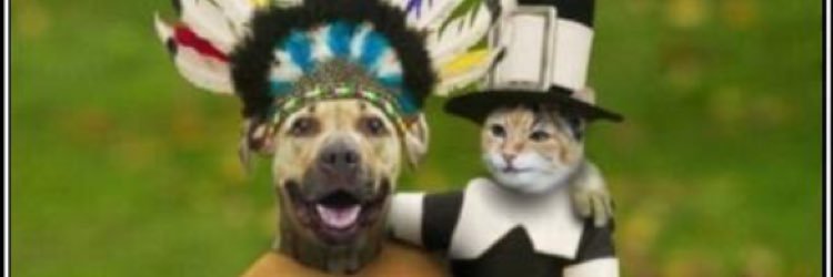 A_Hooots's profile banner image