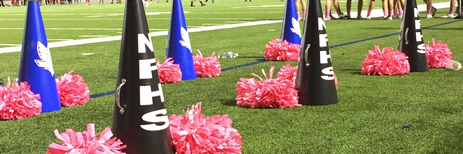 NFcheer's profile banner image