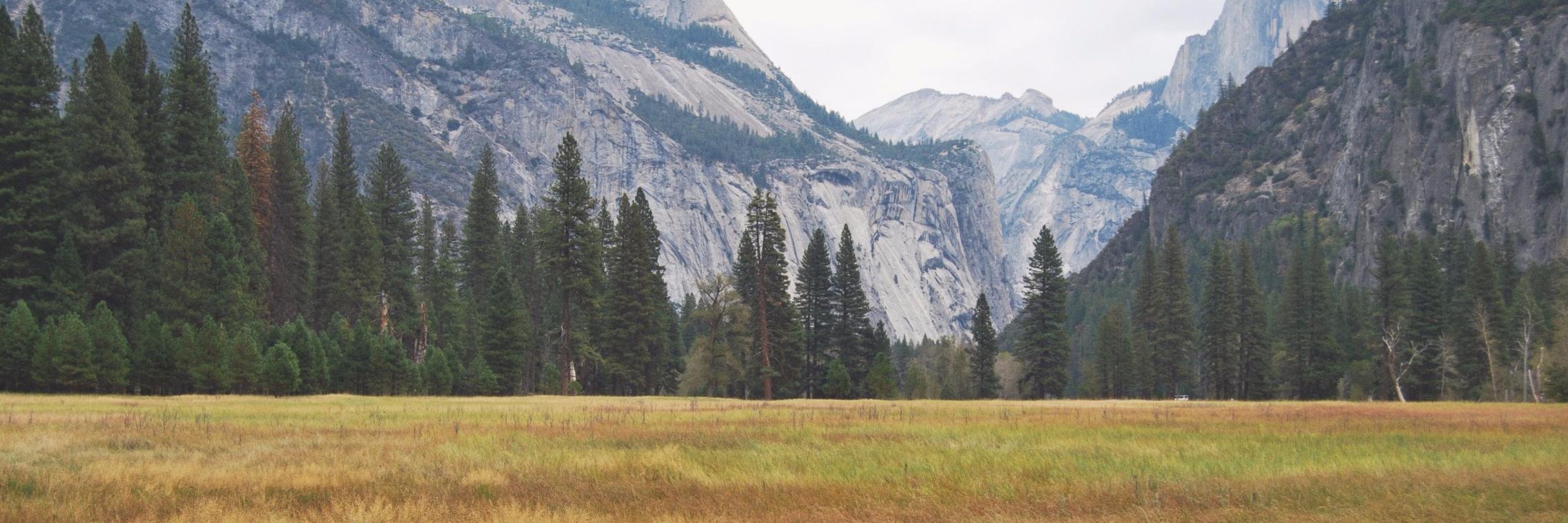 Chris Robles, PhD 💀🧬 banner