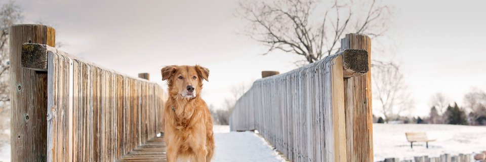 k_sokoloff's profile banner image