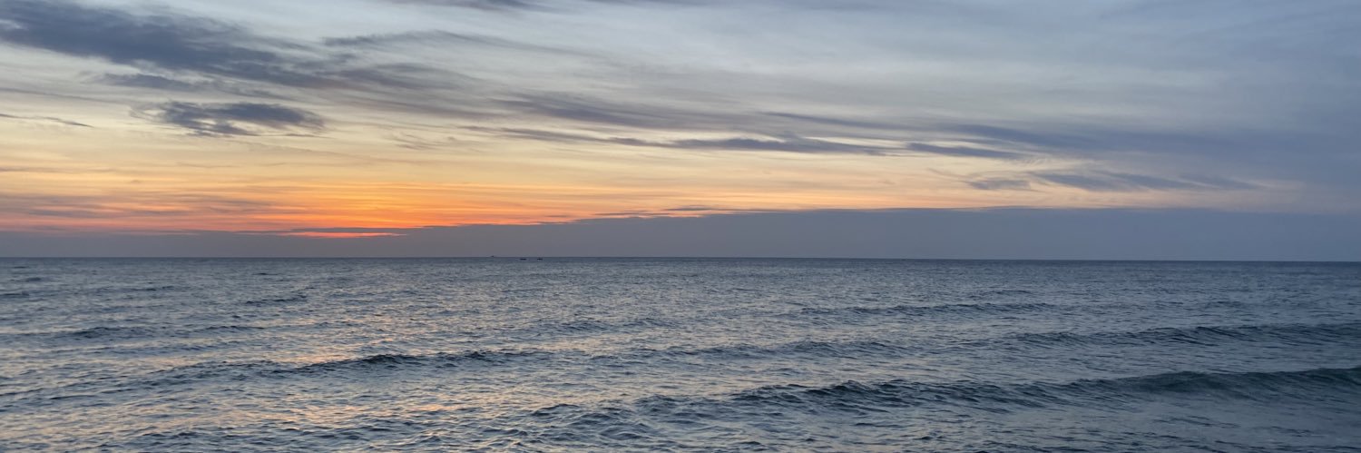 BabyDolphinSh's profile banner image