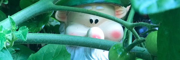 gemmapeplow Profile Banner
