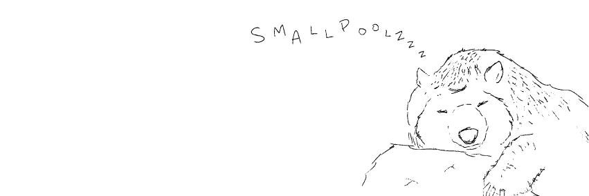 SmallpoolsVK's profile banner image