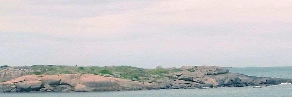 WilvockVw's profile banner image
