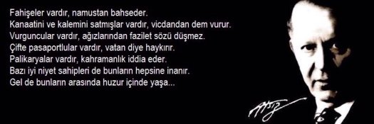 Erol Halat banner