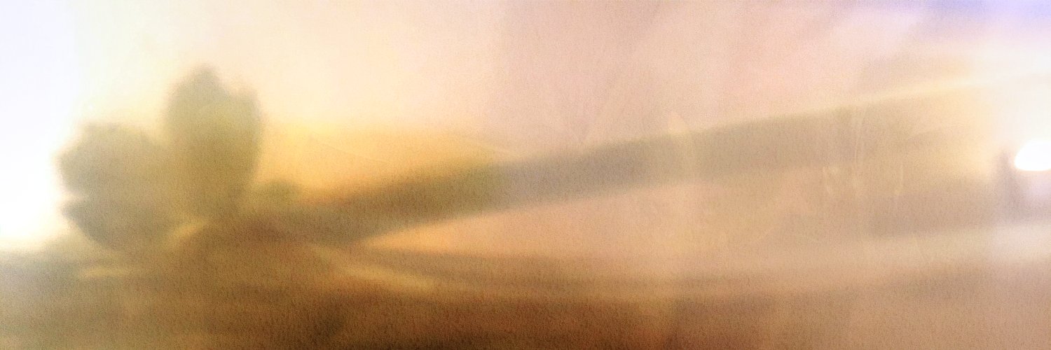 S. Chioini banner