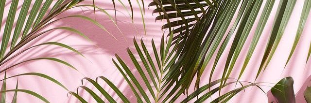 MichallaMoon's profile banner image