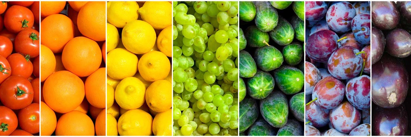 Fresh Point Magazine banner