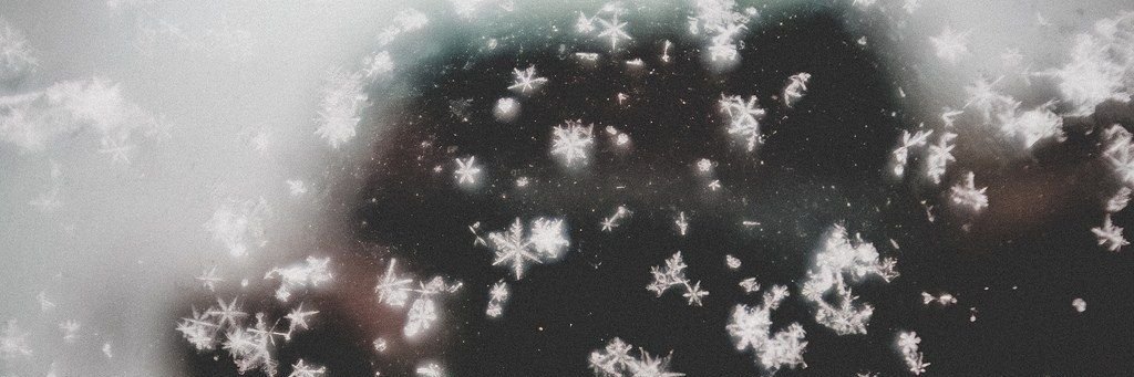 deathbyflower's profile banner image