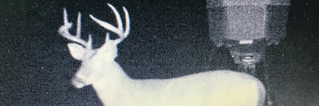 mwhitlock13's profile banner image