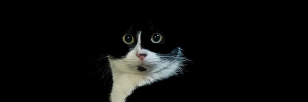 JebStafford's profile banner image