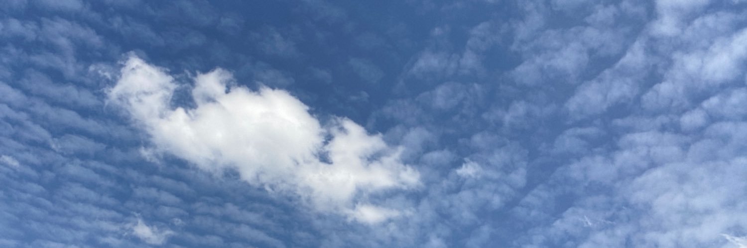 tillylkn's profile banner image