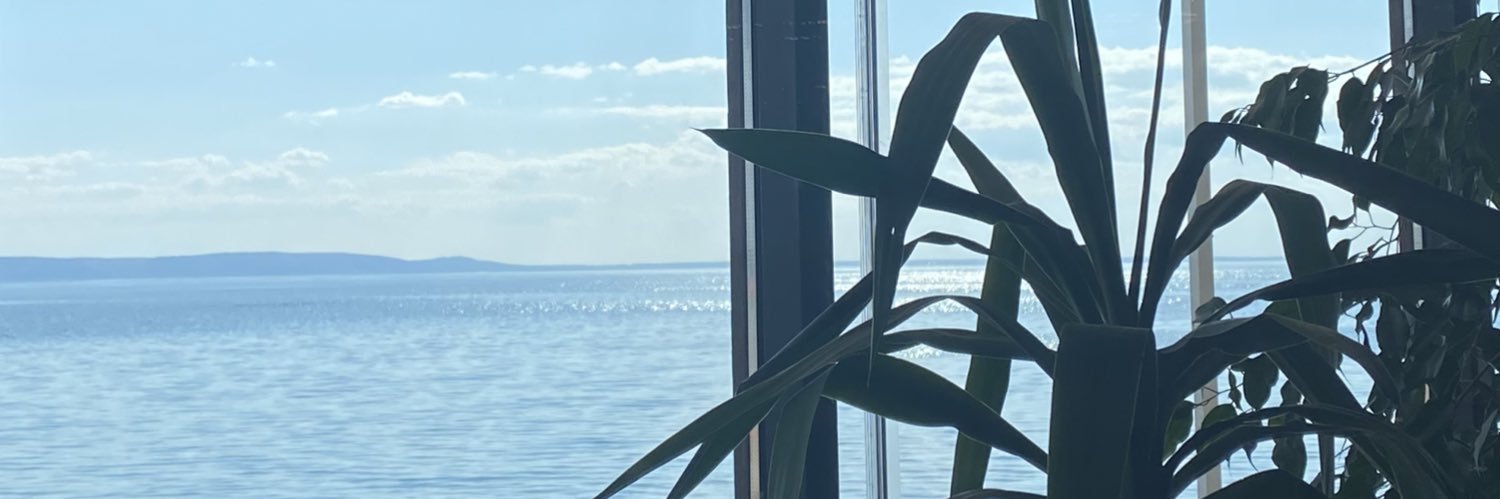 elle0nova's profile banner image