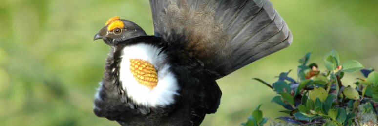 DoD NR Program banner