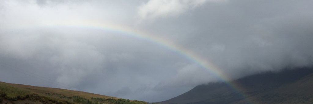 ChristieMHebert's profile banner image