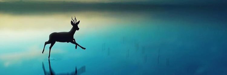 lsratt's profile banner image