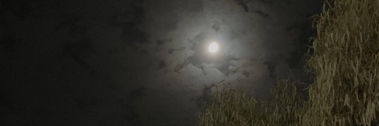 asiinw's profile banner image