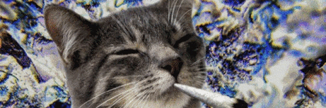 AM420NIAH's profile banner image