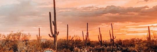 haley_eder's profile banner image