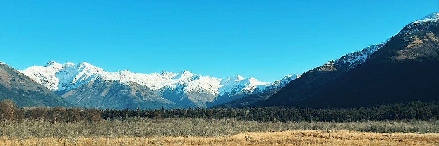 KinseyPitt's profile banner image
