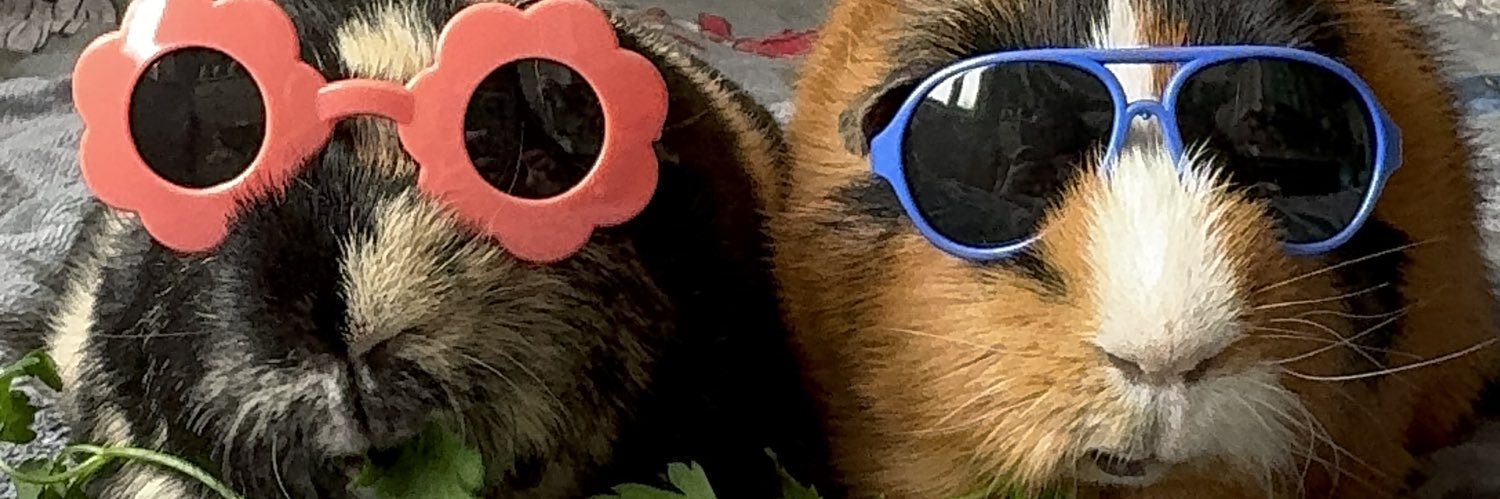 noodle_ss's profile banner image
