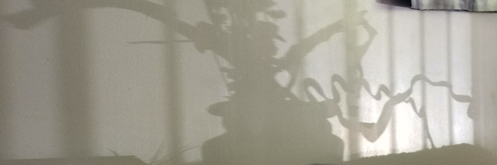fairymint1's profile banner image