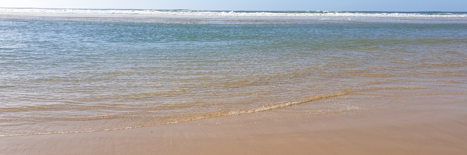 helene landes banner