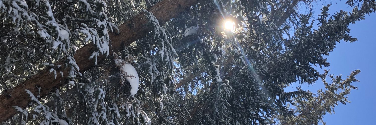 ethanjroberts_'s profile banner image