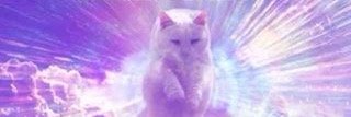 jaymejunee's profile banner image